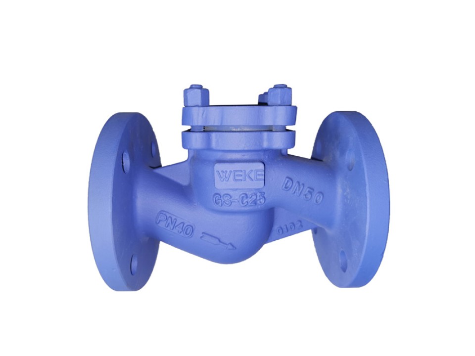 Van một chiều Weke (Check valve) image